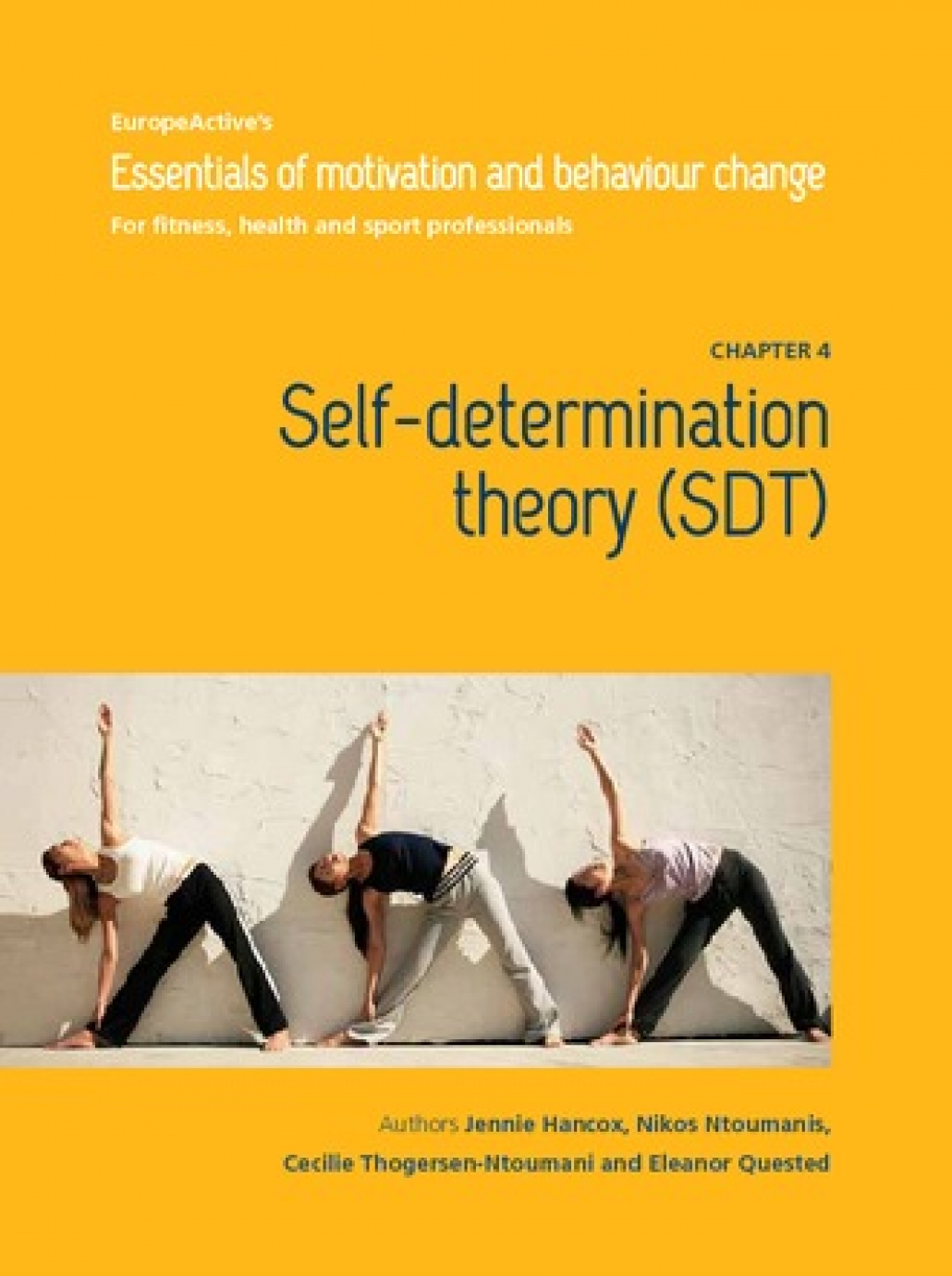 Self-determination theory 