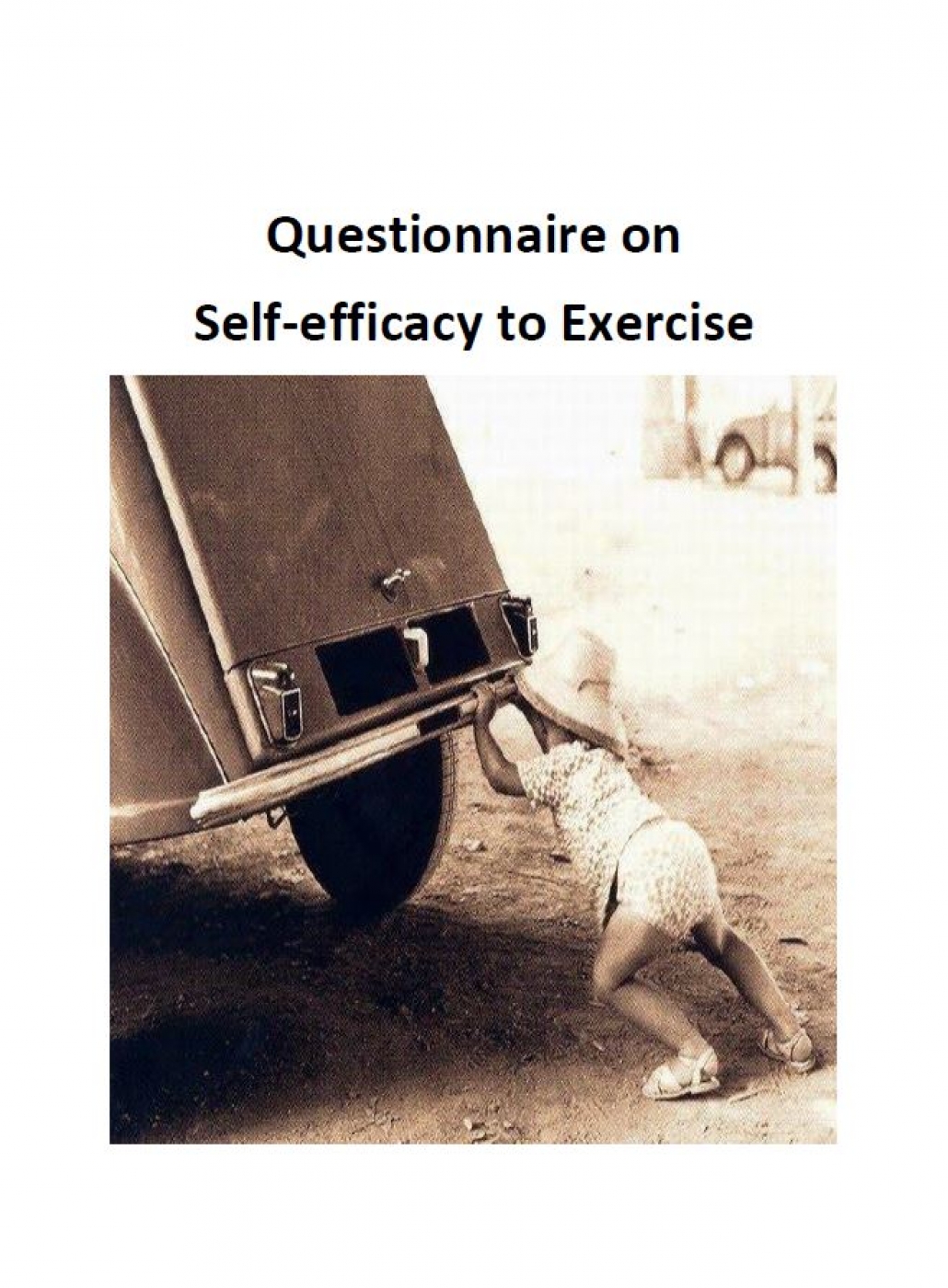Questionnaire Self-efficacy to Exercise