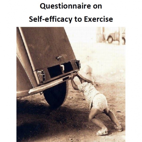 Questionnaire Self-efficacy to Exercise - 0
