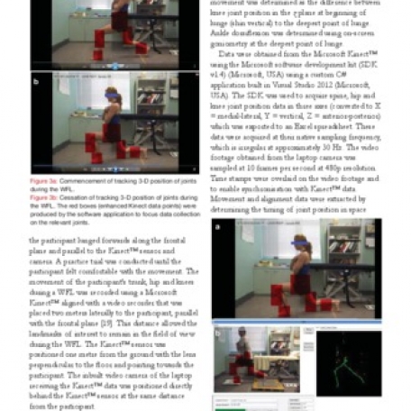 Can hip extension torque predict performance during a walking lunge? - 0